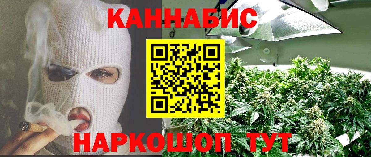 Марихуана план  Бошки марихуана план  Конопля марихуана  Бахчисарай  Каннабис OG Kush  Вход с VPN 